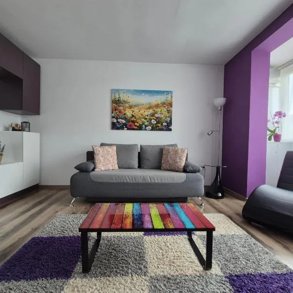 Apartament ASR, hotel in Piatra Neamţ