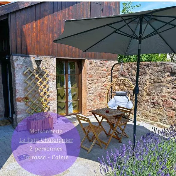 Le petit Châtaignier - Cozy Immo, hotel di Châtenois