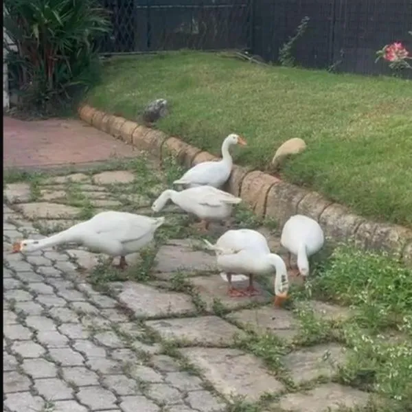 Bindas, hotel in Trivandrum