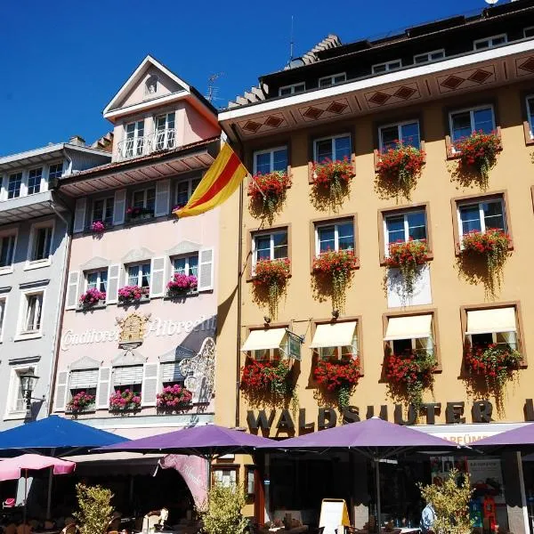 Hotel & Restaurant Waldshuter Hof, hotel in Waldshut-Tiengen
