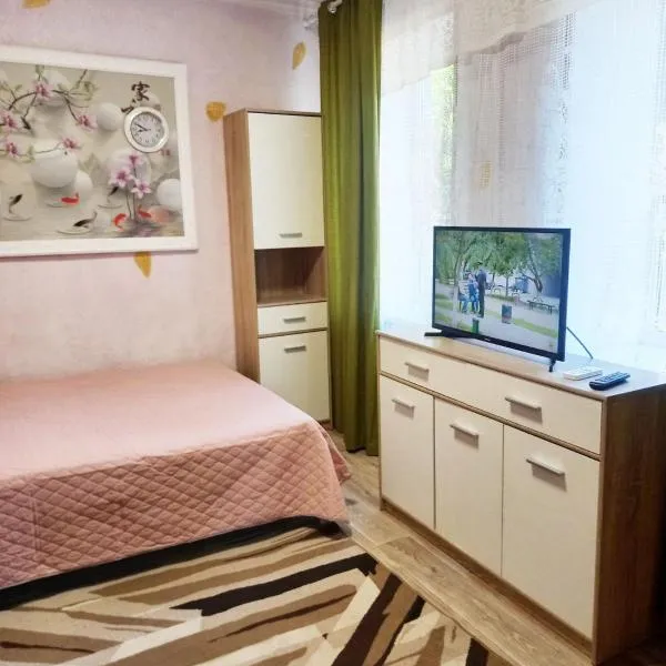 2 комнатная квартира в частном доме, hotel in Odesa