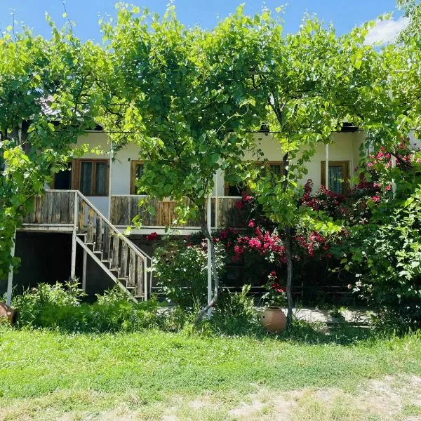 Guest House Aleksandre – hotel w mieście T'mogvi