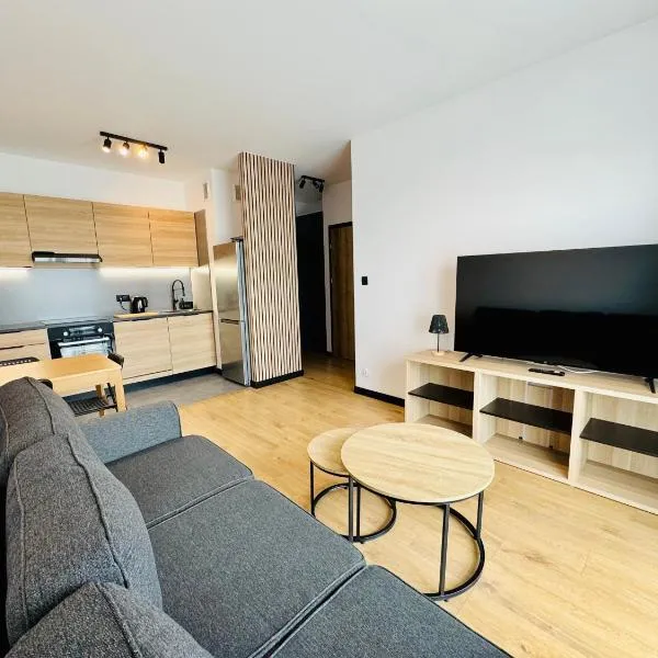 Apartament Wiktoria Iława, hotel di Iława