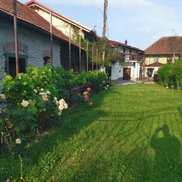 Casa Juliana, hotel a Rîu Bărbat