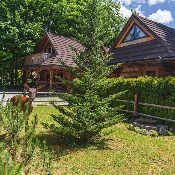 Mountain Shelter Zakopane, hotel in Zakopane