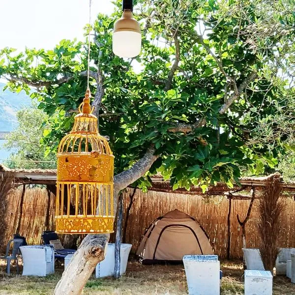 Camping Ullishtja, hotel a Qeparo