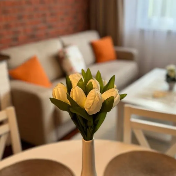 A&M Apartments - apartment Prostejovska, hotel a Prešov