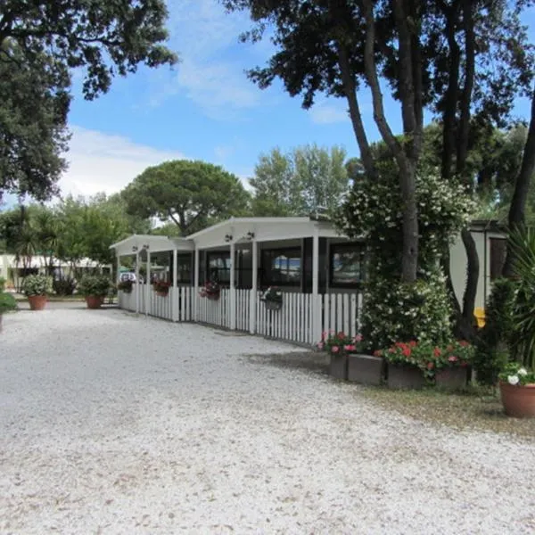 Camping Pineta, hotel in Calambrone