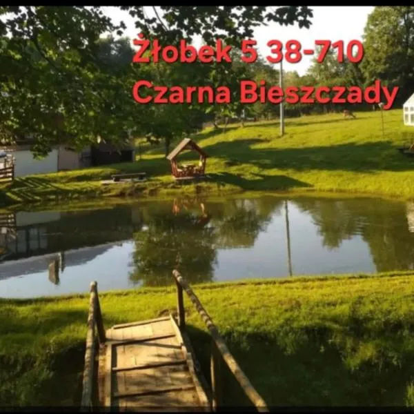 Restauracja Hotel Koło do Wozu, hotel di Żołobek