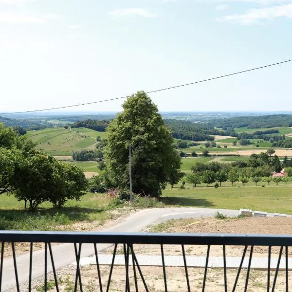 Leona, hotel in Kamešnica