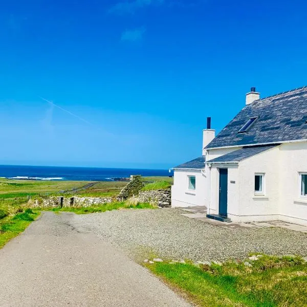 Old Croft House Cottage, Isle of Lewis, hotel in Borve