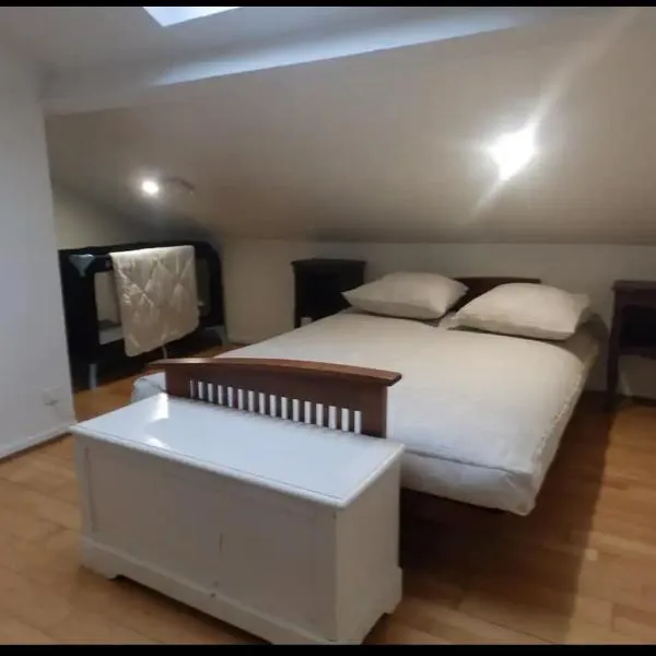 Appartement mansardé, hotel in Juvisy-sur-Orge