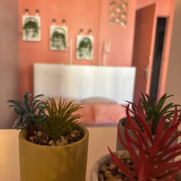 Appartement de l'îlot des Chaudronniers, Hotel in Béziers