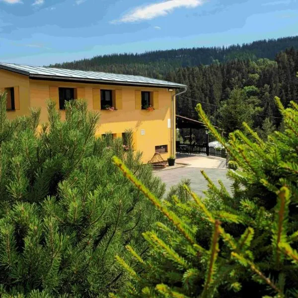 Pension Popelka, hotel v destinaci Špindlerův Mlýn