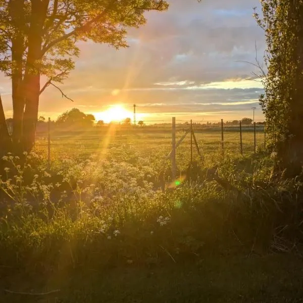 Viesnīca Urlaub auf dem Alpakahof Nähe Velgast pilsētā Velgast