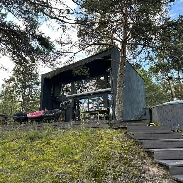 Privaatne saunamajaga suvila Peipsi kaldal, hotel in Katase