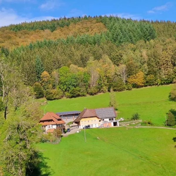 Ferienwohnung Leibgeding, hotel din Kirnbach