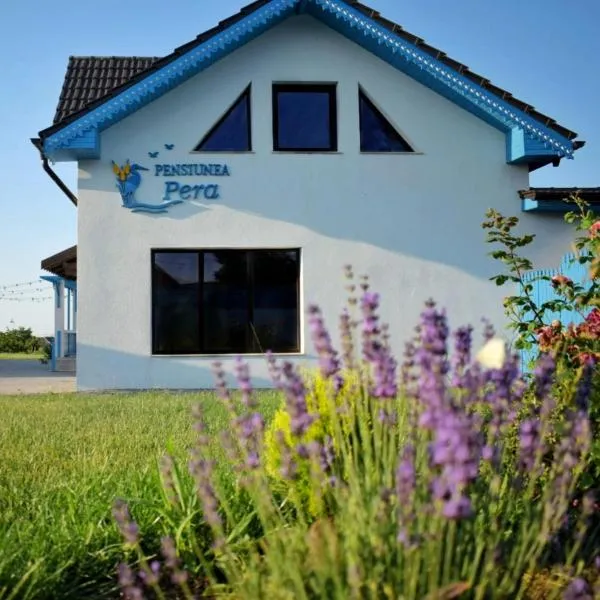 Pensiunea Pera, hotel in Jurilovca