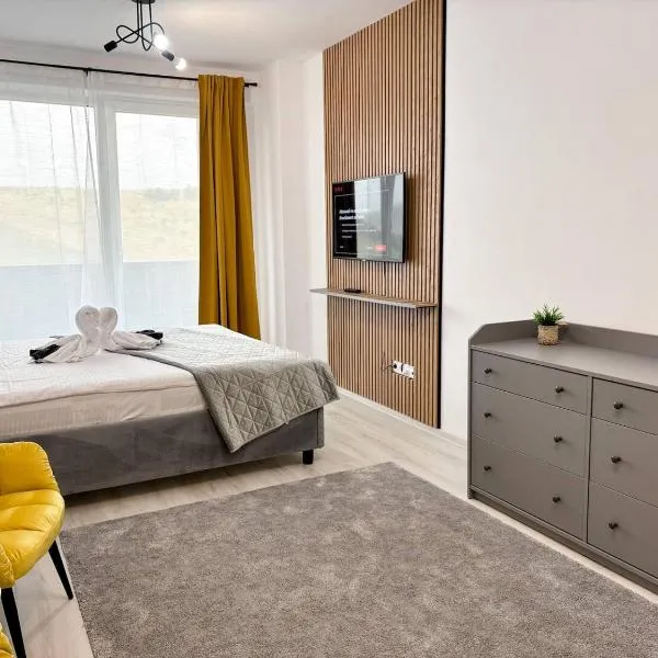 Sky Stay Airport Modern Apart - Free Parking , AC, hotel em Cluj-Napoca
