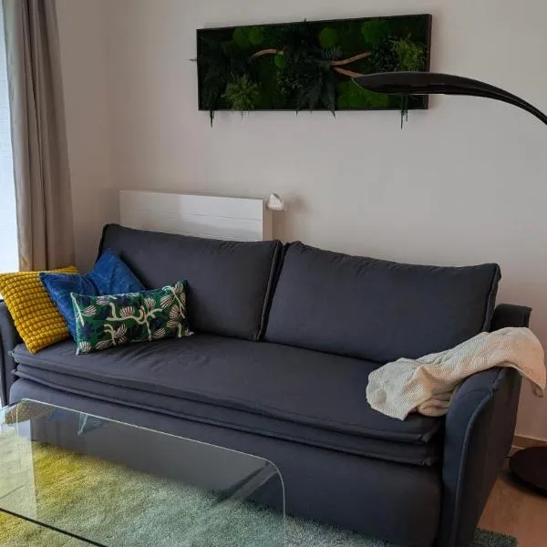Bike & Ski MOSS Apartment, hotel in Dolní Morava