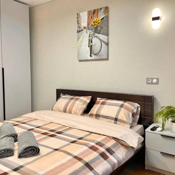 이바노프란키우스크에 위치한 호텔 Voloshyna Central Loft