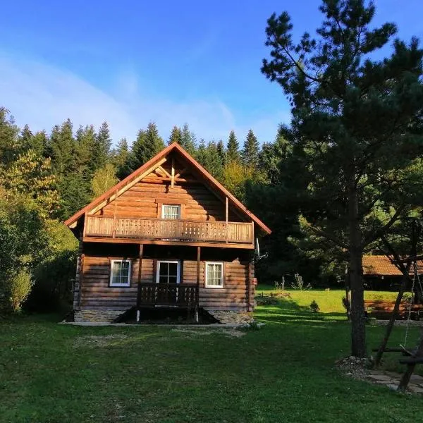 Яглина, hotel in Sprynya