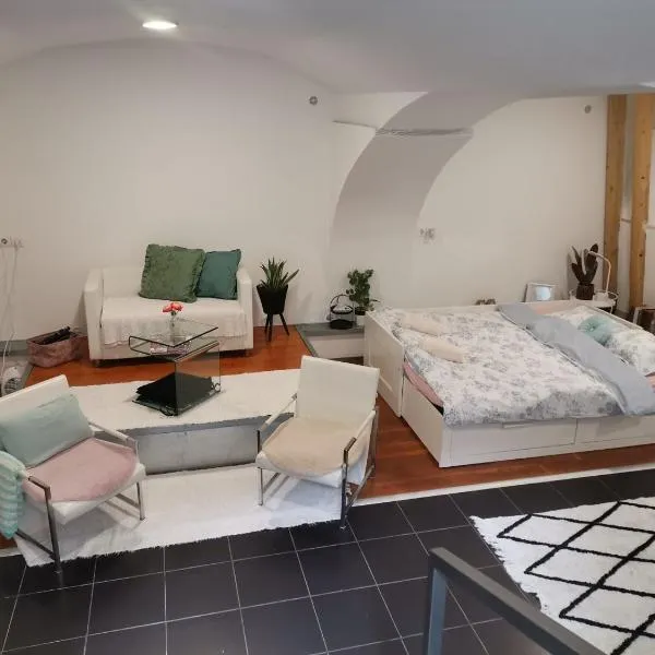 F16Studió Apartman, hotel in Pécs