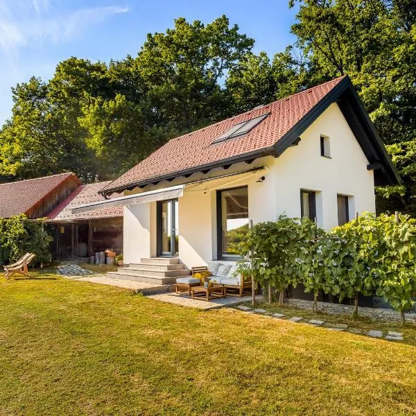 Lux House Natura with Sauna, Hot & Cold Tub: Boršt şehrinde bir otel