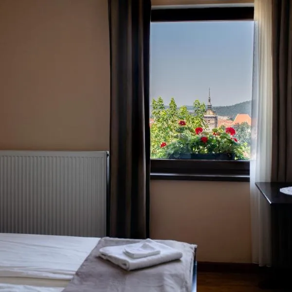 Panorama Guesthouse, hotel in Sighişoara