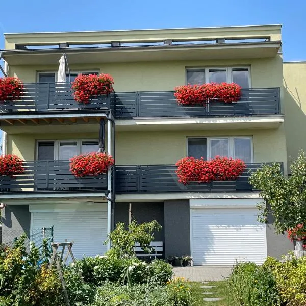 Apartmán Krásná vyhlídka, hotel v destinaci Dolní Benešov