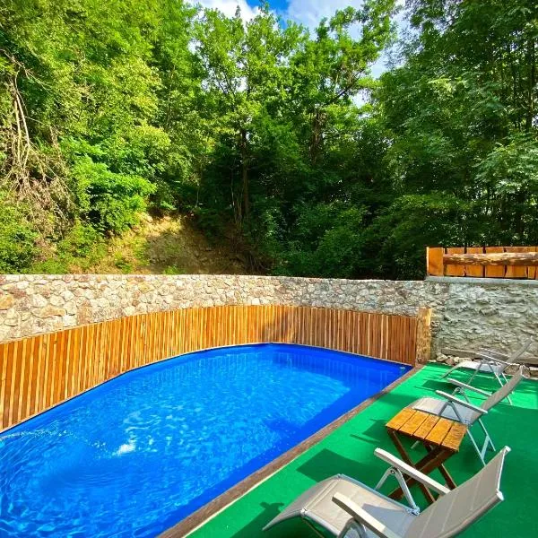 Relax Apartment Private pool, hotel in Sarajevo