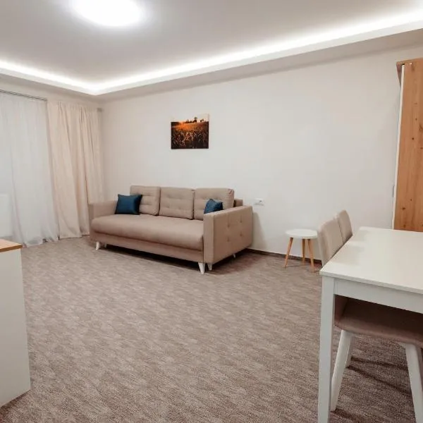 Casa Vlad, hotel 