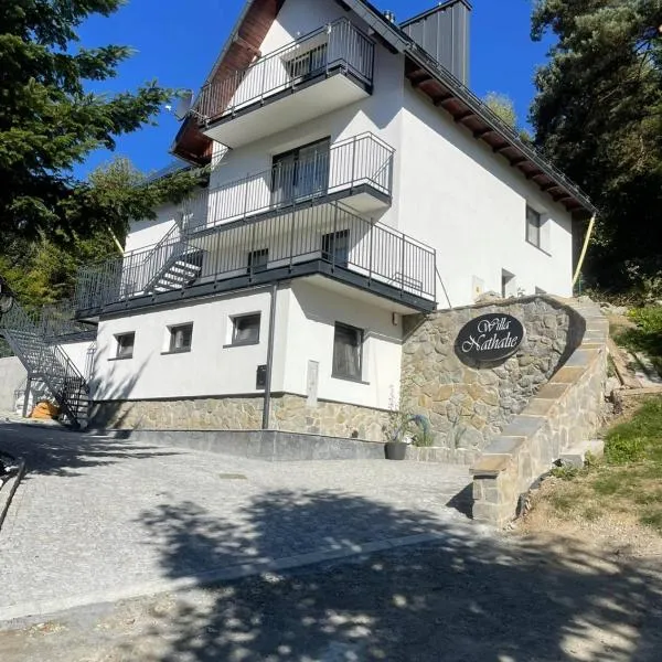 Willa Nathalie，克雷尼察的飯店