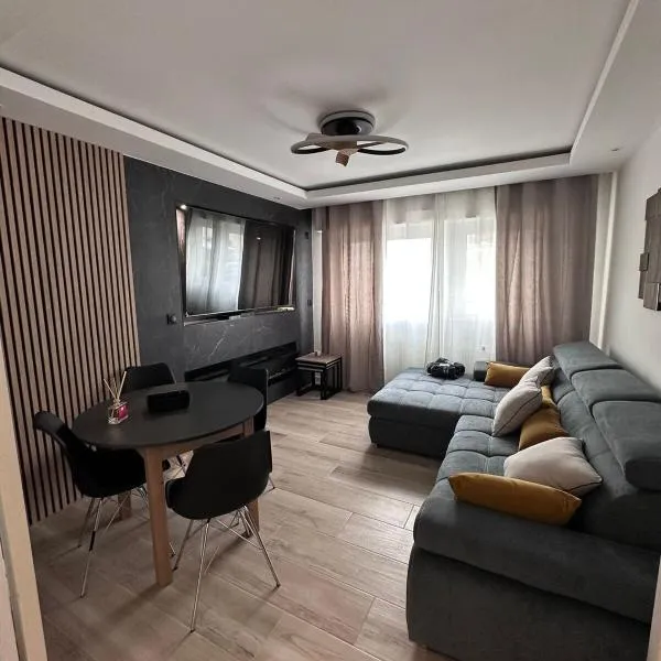 Très bel appartement PremiumSteinbach-parking, hotel in Mulhouse