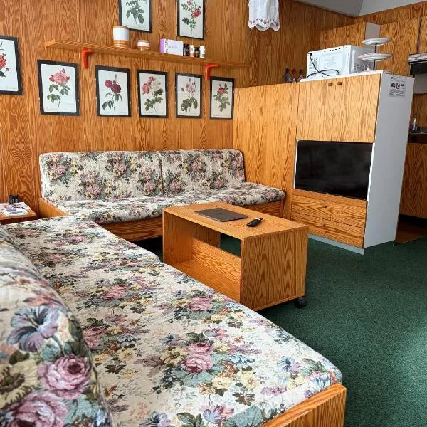 Residence Solaria Albarè Marilleva 1400，馬里爾伊瓦的飯店