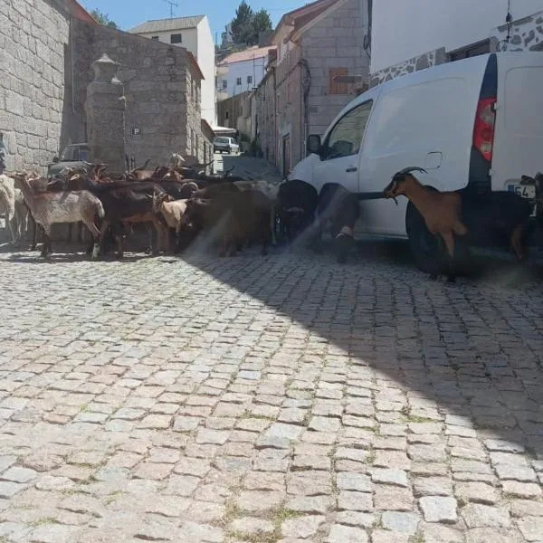 Sabugueiro में, होटल Casa da Palheira