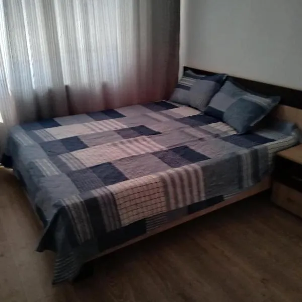 Cazare Alin&Figa, hotel in Beclean