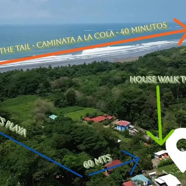 Bahia Ballena Walk to the Beach Uvita Apartments, hotel in Uvita