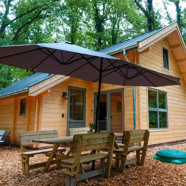 Jesse's Log Cabin, khách sạn ở Norg