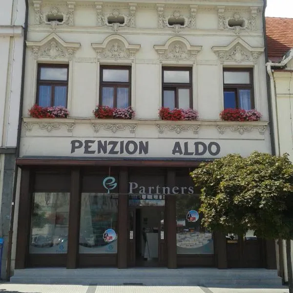 Penzion Aldo，卡爾維納的飯店