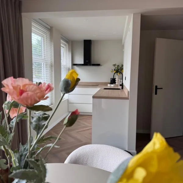 Shortstay Sneeker Munt, hotel in Sneek