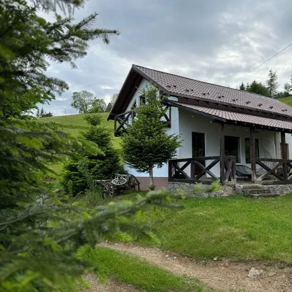 Panoramic House, hotel v destinaci Mărişel
