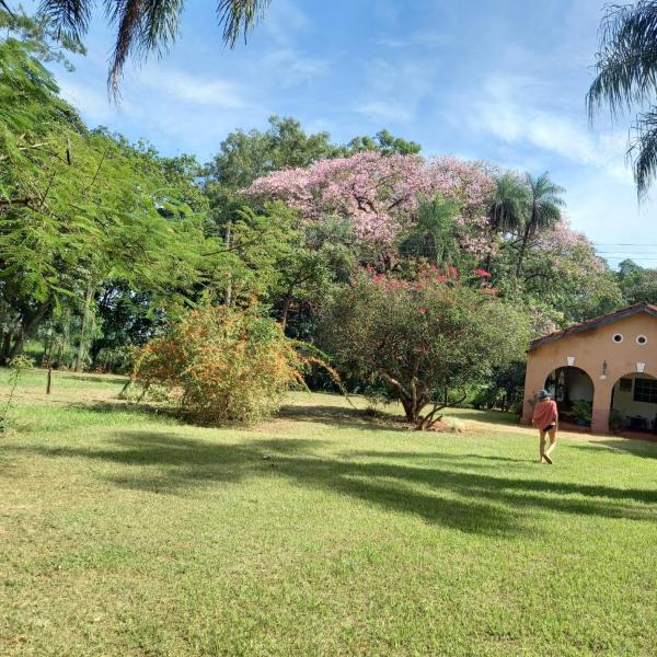 Fazenda santa maria - Foto 5