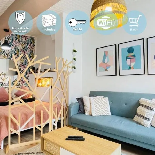 Provins au coeur du quartier historique - Charmant studio pour 2, hôtel à Provins