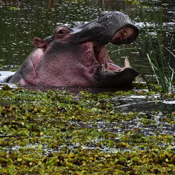 The falls hippo point, hotel em Nyahururu