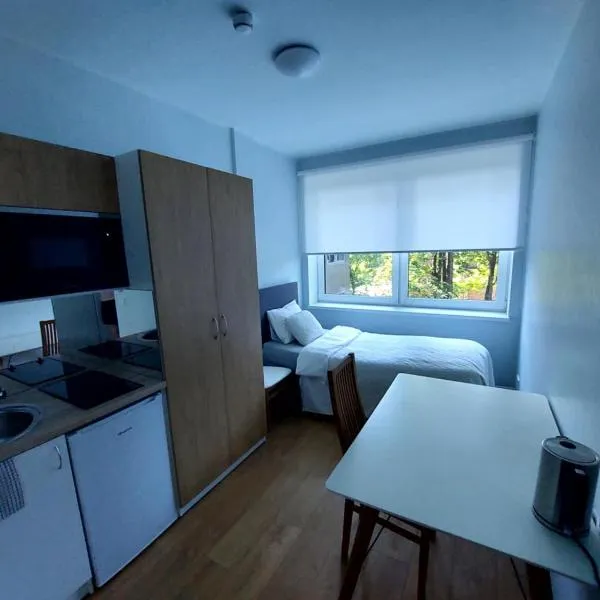 Pepleri 34 mini studio apartment, hotel en Tartu