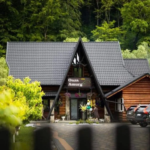 Cabana OAZA AMURG, hotel a Runcu