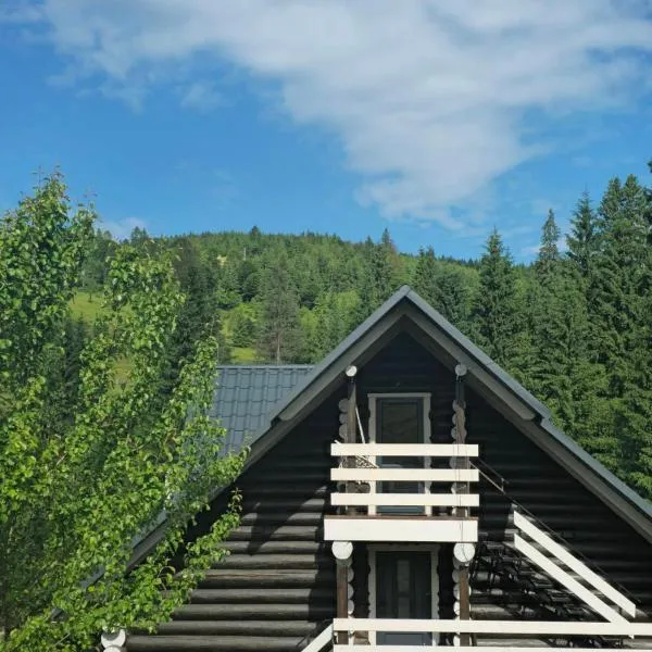 Synevyr House 2, Hotel in Synewyrska Poljana