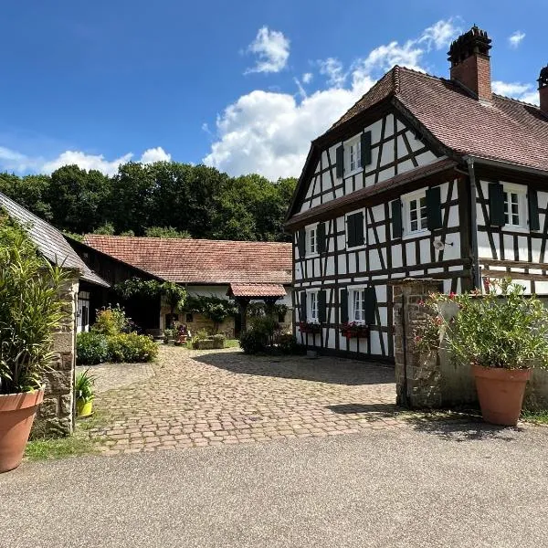 Ferme Auberge du Moulin des Sept Fontaines, hotel in Drachenbronn