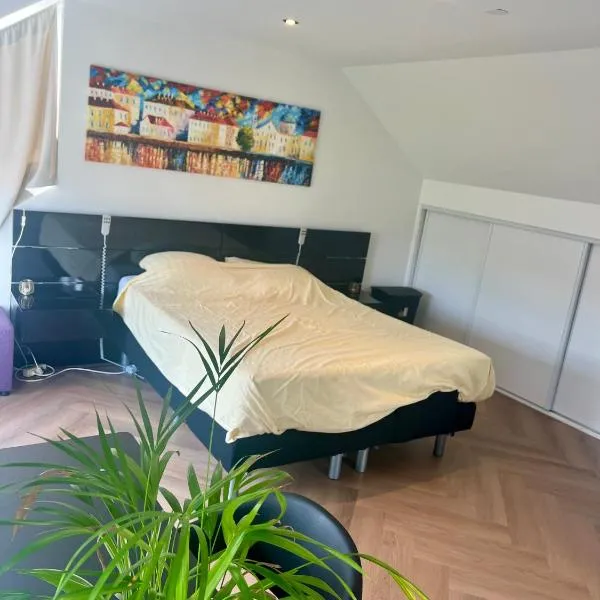 Ruime slaap kamer met werkplek en privé badkamer bij Jacqueline, hotel v destinaci Leeuwarden
